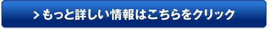 軽貨物ドライバーのお仕事.net販売サイトへ